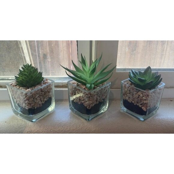 New Set of 3 Succulents Plants Artificial in Glass Pots Small Fake Succulents - Picture 1 of 1